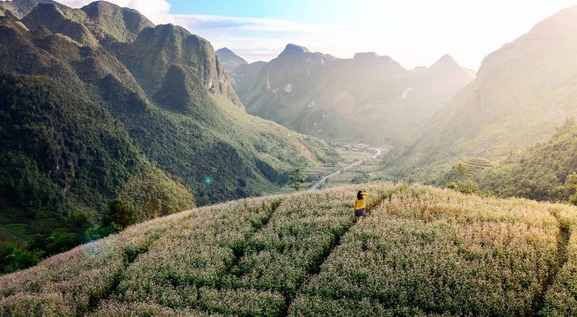 Immerse yourself in Sung La valley (Source: Internet)