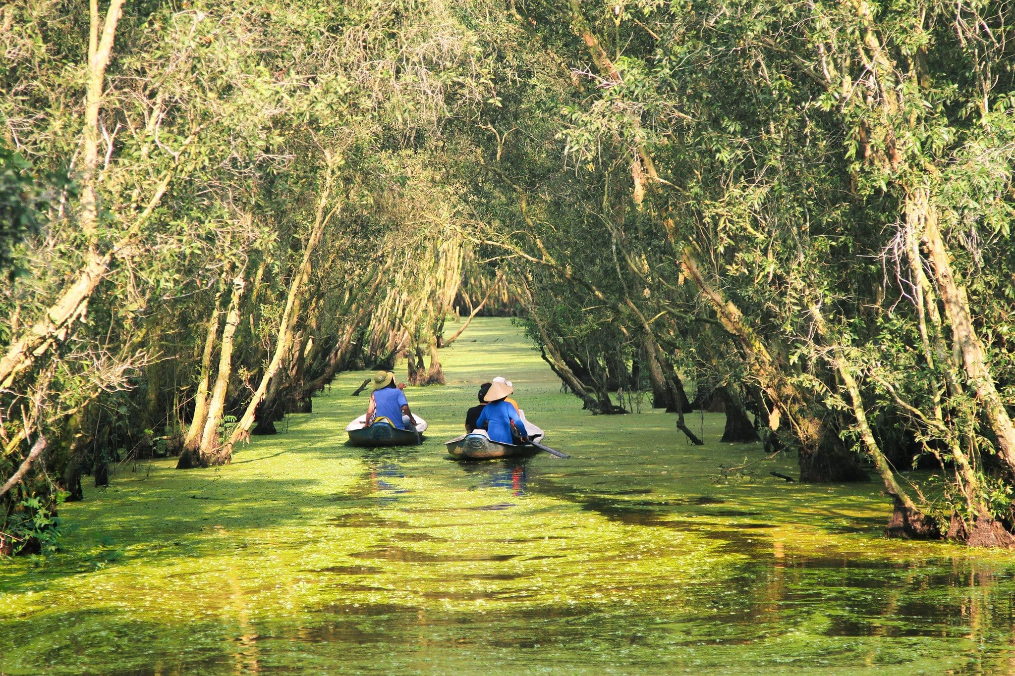 Mekong_Mảngove-forest_TraSu-AnGiang_vietnamtravel-tour-ftripvietnam.jpg