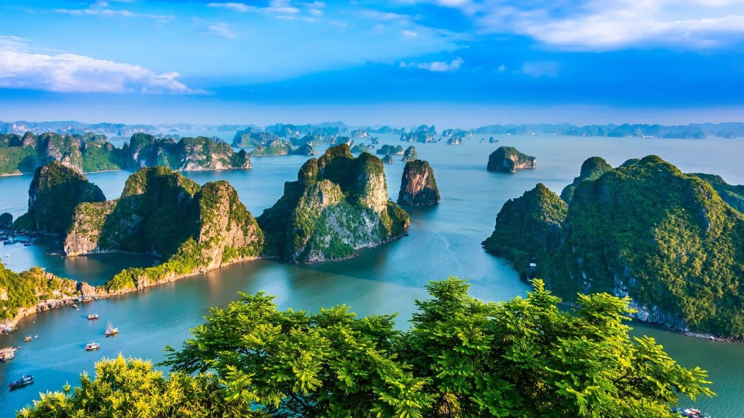 Ha Long Bay is mainly a limestone island formed over 500 million years ago (Source: Internet)