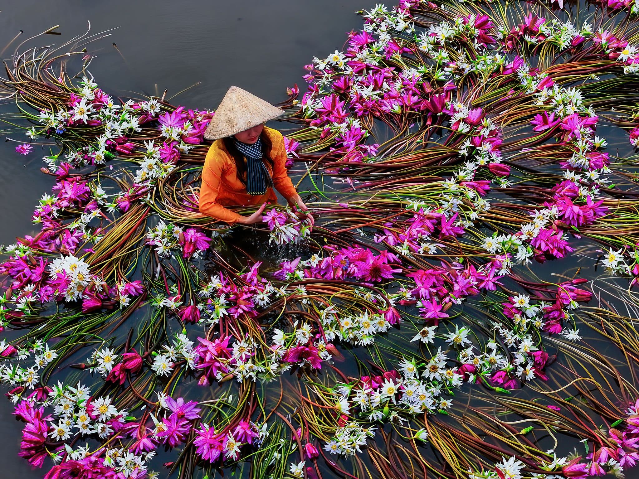 Should You Book Customized Vietnam Tours?