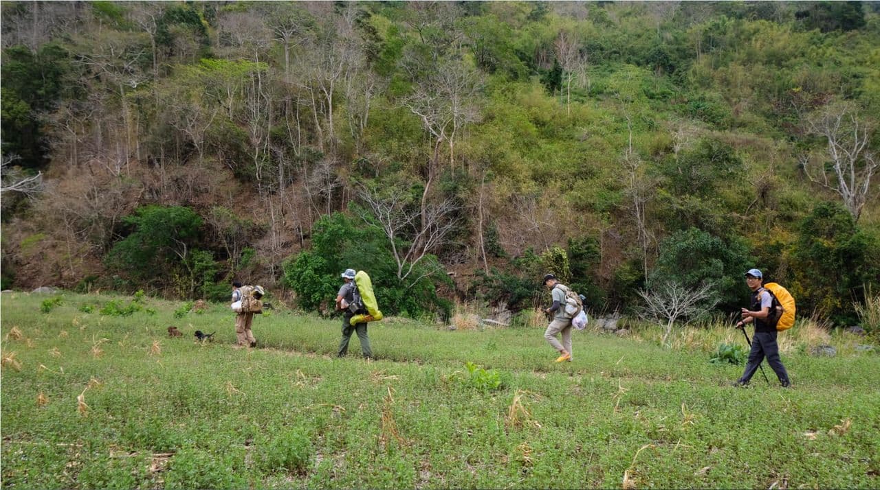 Visitors can participate in trekking in Hoang Lien National Park