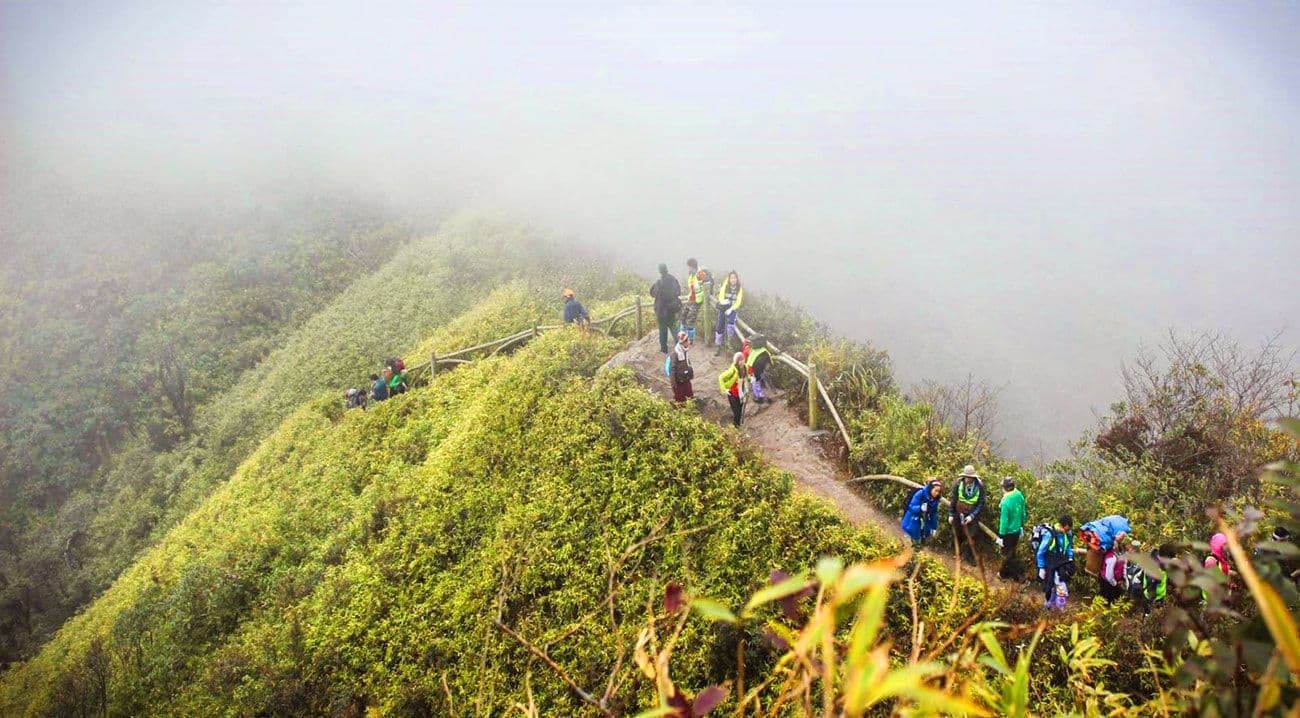 Trekking to Fansipan - Lao Cai (Source: Internet)
