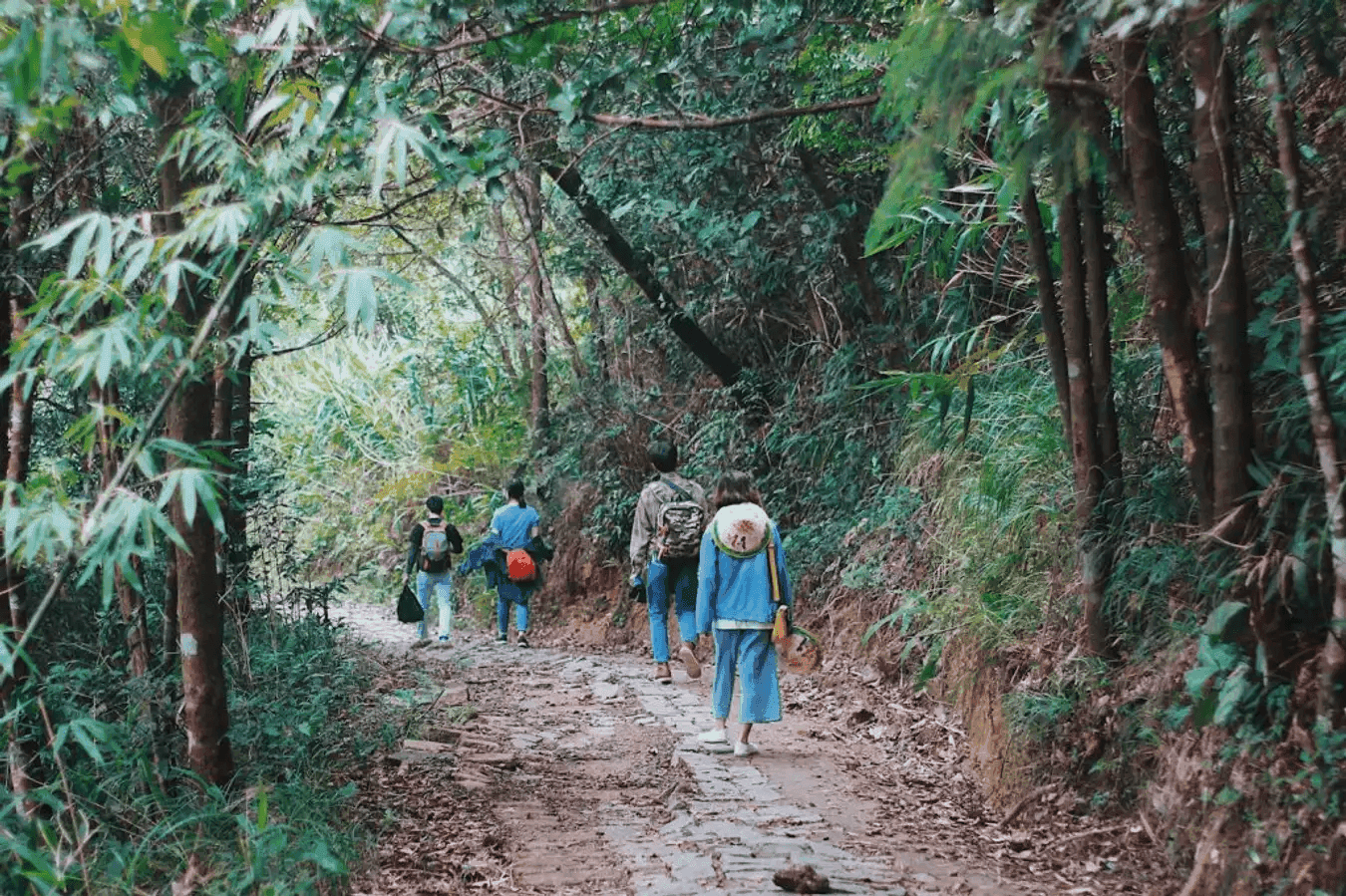 The road leading to Vong Hai Dai