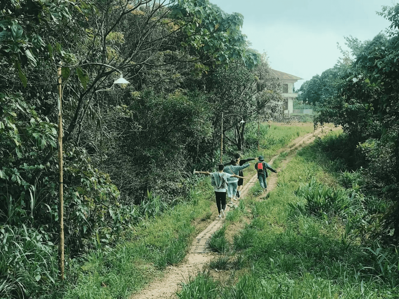 Tourists walking on a trail in Bach Ma National Park