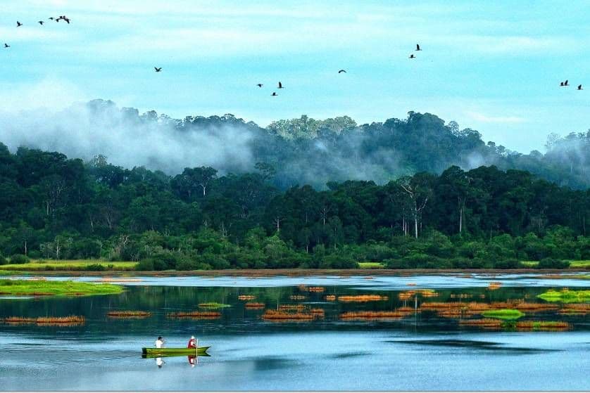 Cat Tien National Park is home to tropical birds and yellow-cheeked gibbons (Source: Internet)