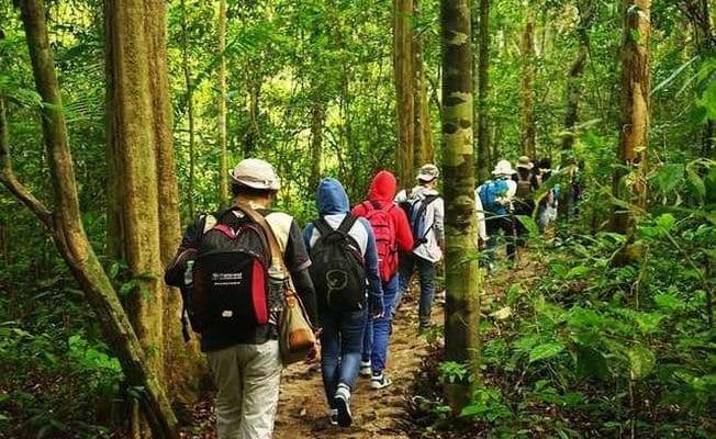 A trip to the Nam Cat Tien area