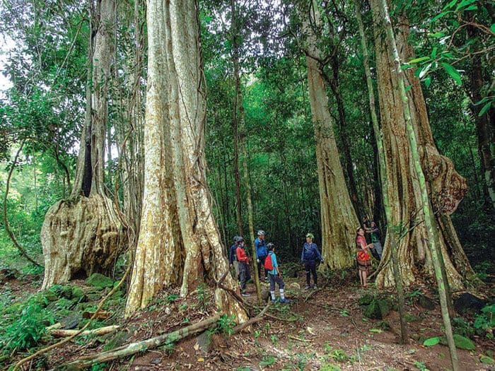Visiting the Tay Cat Tien area
